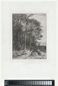 Landschap aan de rand van een bos