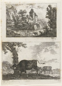 Landschap en stier