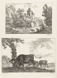 Landschap en stier