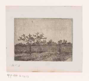 Landschap in de buurt van Antwerpen