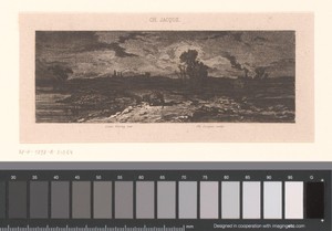 Landschap in de schemering