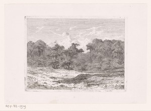 Landschap met bebossing