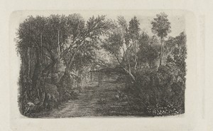Landschap met beek en bomen op oevers