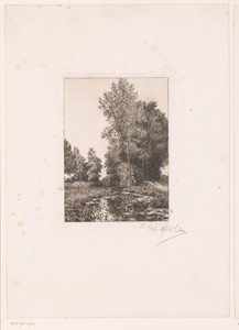 Landschap met beek op de voorgrond