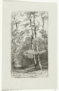 Landschap met berken