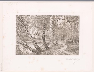 Landschap met berken langs een oever