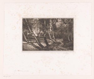 Landschap met berken langs een oever