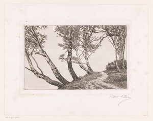 Landschap met berken langs een oever