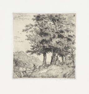 Landschap met beukenbos