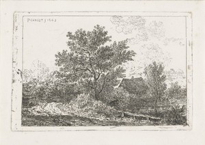 Landschap met boerderij