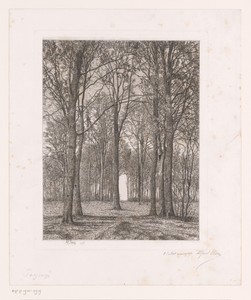 Landschap met bomen