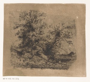 Landschap met bomen