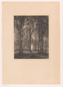 Landschap met bomen