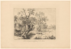 Landschap met bomen aan het water