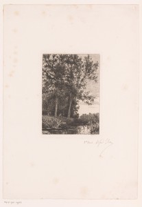 Landschap met bomen aan het water
