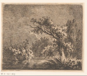 Landschap met bomen aan het water
