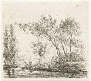 Landschap met bomen aan water
