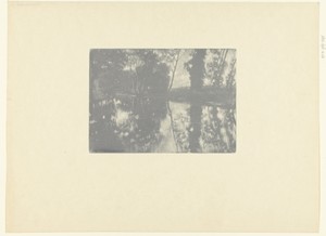 Landschap met bomen aan waterkant