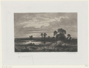 Landschap met bomen bij een plas