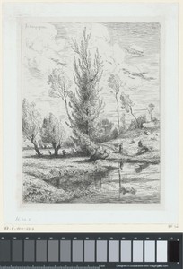 Landschap met bomen bij een plas