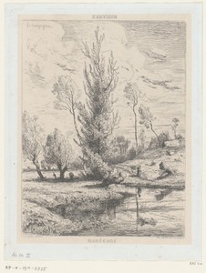 Landschap met bomen bij een plas