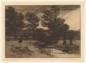 Landschap met bomen en beek in een storm