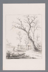 Landschap met bomen en brug