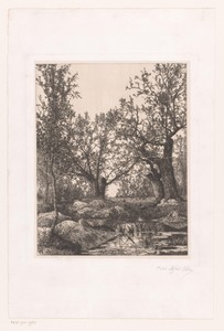 Landschap met bomen en moeras