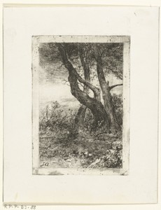 Landschap met bomen en vijver met eenden
