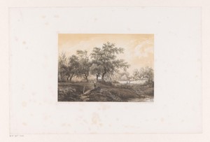 Landschap met bomen en watermolen