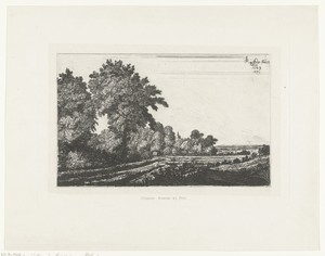 Landschap met bomen en weilanden