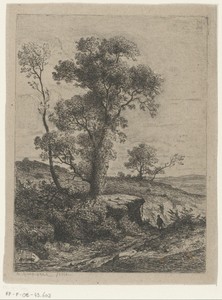 Landschap met bomen op een rots naast een pad