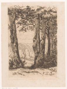 Landschap met bomenrij