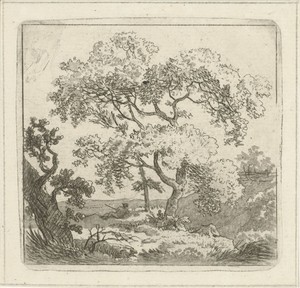 Landschap met boom
