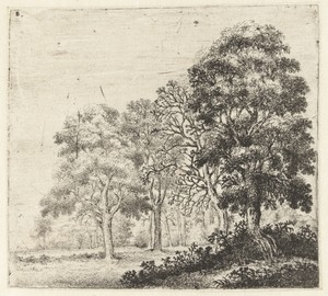 Landschap met boom