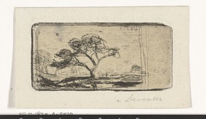 Landschap met boom