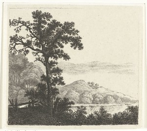 Landschap met boom bij een rivieroever