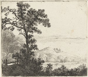 Landschap met boom bij een rivieroever