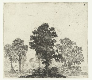 Landschap met boom in het midden