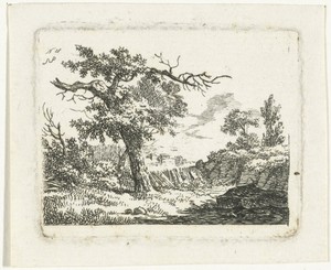 Landschap met boom met twee dode takken