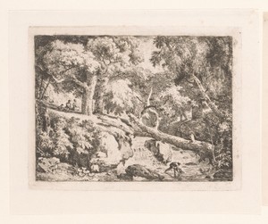 Landschap met boomstam over een waterval