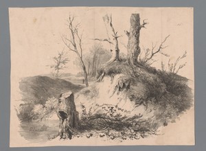 Landschap met boomstronken