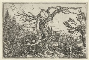 Landschap met de dorre boom