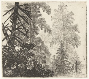 Landschap met de twee sparren