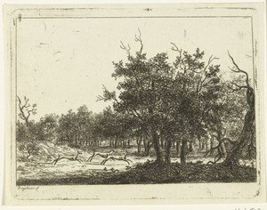 Landschap met drie herten