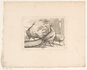 Landschap met drie pauwen