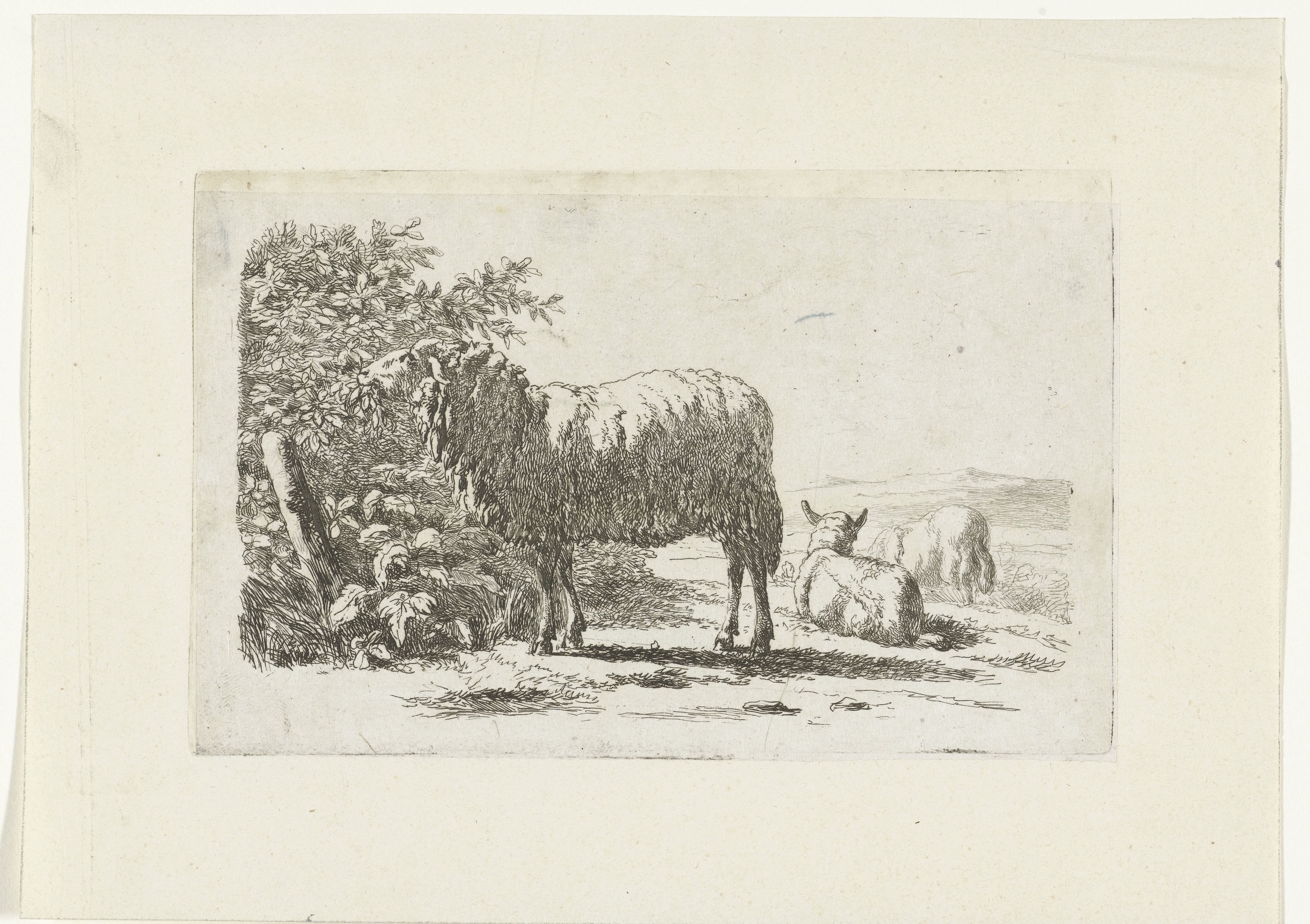 Landschap met drie schapen by Simon van den Berg