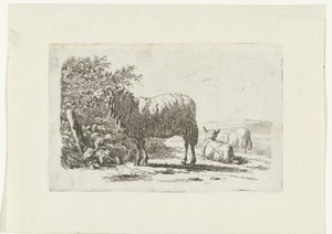 Landschap met drie schapen
