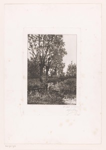 Landschap met drie wilgen langs het water