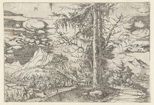 Landschap met dubbele spar